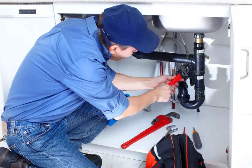 Professional-Plumbing-Services-1024x683